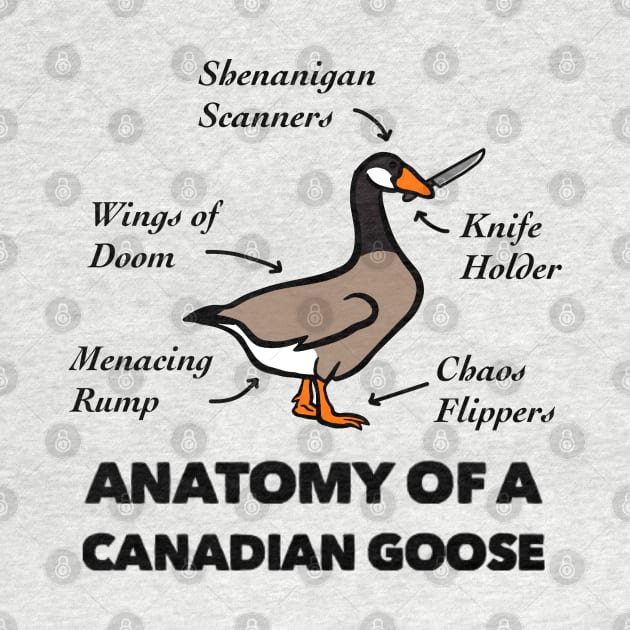 Anatomy of a Canadian Goose by TheUnknown93